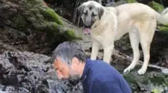 Yabani Hayvanlarla Kurduğu Dostlukla İlgi Çekiyor