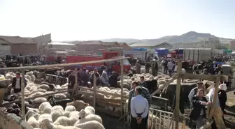 Kurbanlıklarda Alanda Satanda Memnun