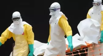 Batı ve Orta Afrika'daki Ebola Salgını