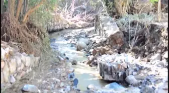 Bitlis'teki Sağanak Ekinlere Zarar Verdi