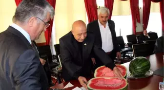 Sonbaharda Bolu Karpuzu