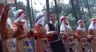 Veysel Aksoy - Nereyede Yar