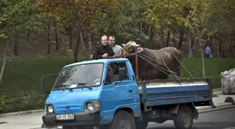 İstanbul'da Kurban Bayramı Kutlanıyor