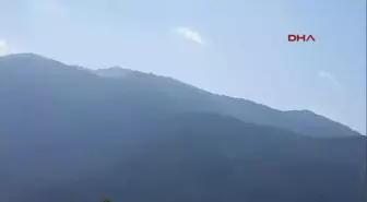 Çanakkale Kazdağı Kestaneleri Hastalığın Pençesinde