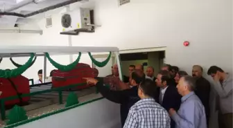 Elif Öğretmeni Ölüme Götüren, Silah Sesleri Oldu