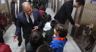 Minikler Hayvanları Çok Sevdi