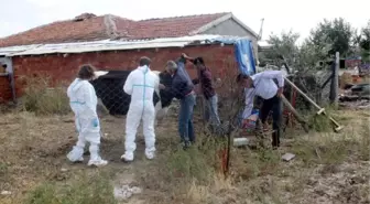 Polatlı'da 162 Büyükbaş Hayvan İtlaf Edildi