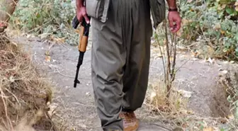 Polisleri Şehit Eden PKK'lılardan Biri Milli Eğitim Memuru Çıktı