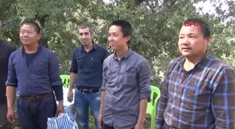 Şırnak'ta Kaçırılan 3 Çinli Mühendis Serbest Bırakıldı