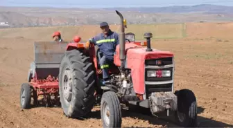 Tarladaki Havan Mermisi Traktöre Takıldı (2)