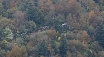 Kocaeli'de Askeri Helikopterin Düşmesi