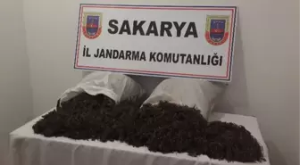 Ormanlık Alanda 22 Kilo Kubar Esrar Ele Geçirildi