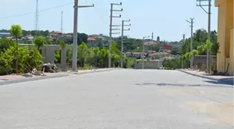 Edirne'den Kısa Kısa