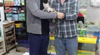 Demirpark Avm'den 'Sahiplendirmek Hayat Kurtarır' Projesi