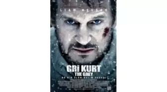 Gri Kurt Filmi