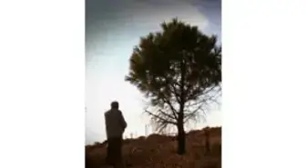 İmbatla Dol Kalbim Filmi