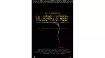 Mulberry Sokağı Filmi