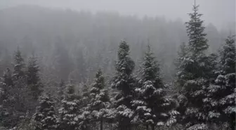 Ordu'ya Yılın İlk Karı Düştü