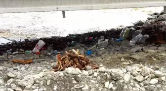 Sahilde Odun Toplayan Kadını Deniz Yuttu