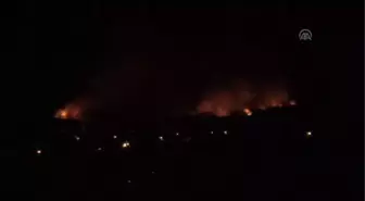 Muğla'da Orman Yangını