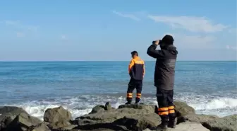 Odun Toplarken Dalgalara Kapıldı