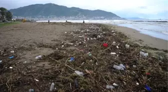 Ordu Sahili Yağmurun Ardından Çöple Kaplandı