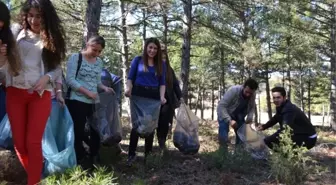 Üniversite Öğrencilerden Orman Temizliği