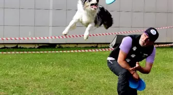 Pet İstanbul Fuarı 2014, Açılış Şovlarıyla Büyüledi