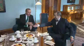 Erdoğan, Estonya Cumhurbaşkanı Ilves ile Görüştü