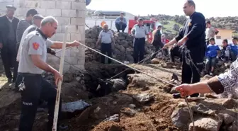 Gaziantep'te İtfaiye Kanalizasyona Düşen İnek İçin Seferber Oldu