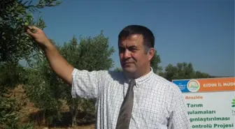 Üreticiler Zeytin Dal Kanserine Karşı Bilgilendiriliyor