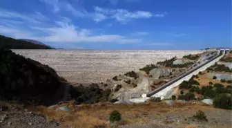 Baraj Altında Kalacak Bitki Türleri Korumaya Alınacak