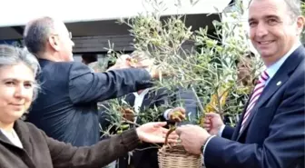 Ayvalık'ta Uluslararası Hasat Günleri