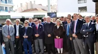 Ayvalık'ta Uluslararası Zeytin Hasat Günleri Başladı