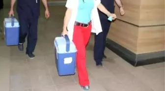 Organ Bağışı Haftası