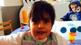 Van'da Karlı Dağları Kaybolan Nehir İçin Aştılar