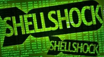 Shellshock İş Başında!