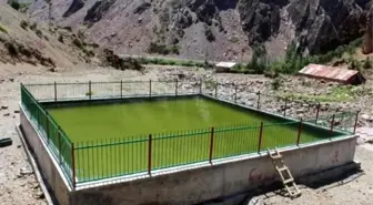 Dap'tan Hakkari'ye 5 Milyon 820 Bin Ödenek