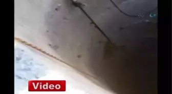 Malatya'da Kuyuya Düşen Tilki Kurtarıldı