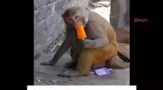 İtalya?da Kadın Bakanın Külah Dondurma Yemesine Cinsel Anlam Yükleyen Dergiye Tepki Yağıyor