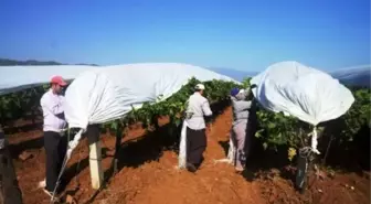 Manisa'dan Kısa Kısa