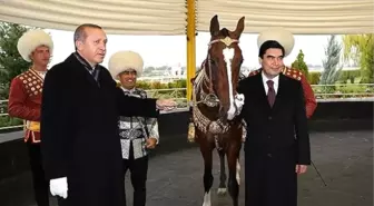 Berdimuhamedov, Cumhurbaşkanı Erdoğan'a At Hediye Etti