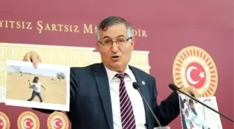 MHP'nin Özerklik Tepkisi