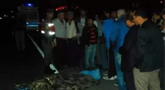 Alanya'da Trafik Kazası: 1 Ölü