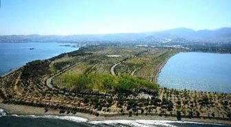 İnciraltı Kent Ormanı Nefes Aldırıyor