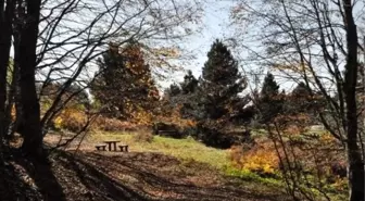 Uludağ'da 'Dörtnala' Eko Turizm