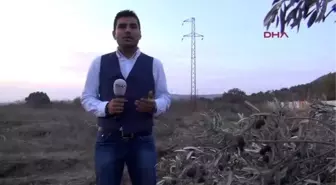 Yırcalılar Şimdi De, Darp, Mukavemet Suçlarından Sanık Oldu