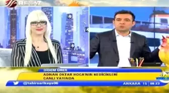 Beyaz TV Spikerinden Kediciği Zora Sokan Soru