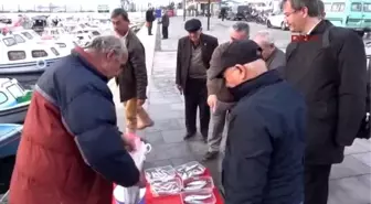 Çanakkale Boğazında Lüfer Akını