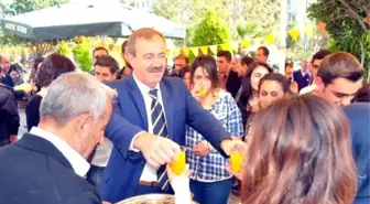 5. Uluslararası Mersin Narenciye Festivali'Ne Doğru